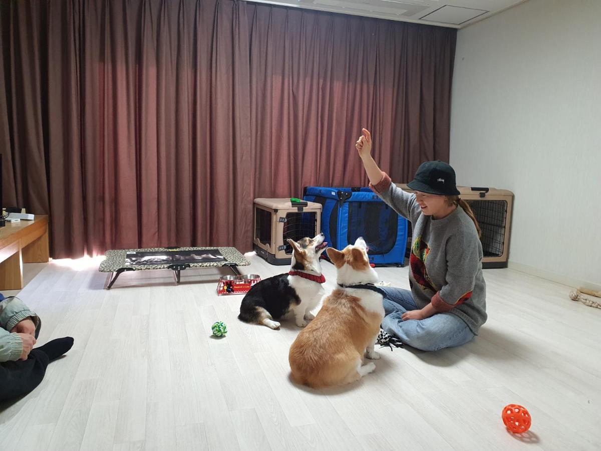 Hi Jeju Hotel Екстериор снимка