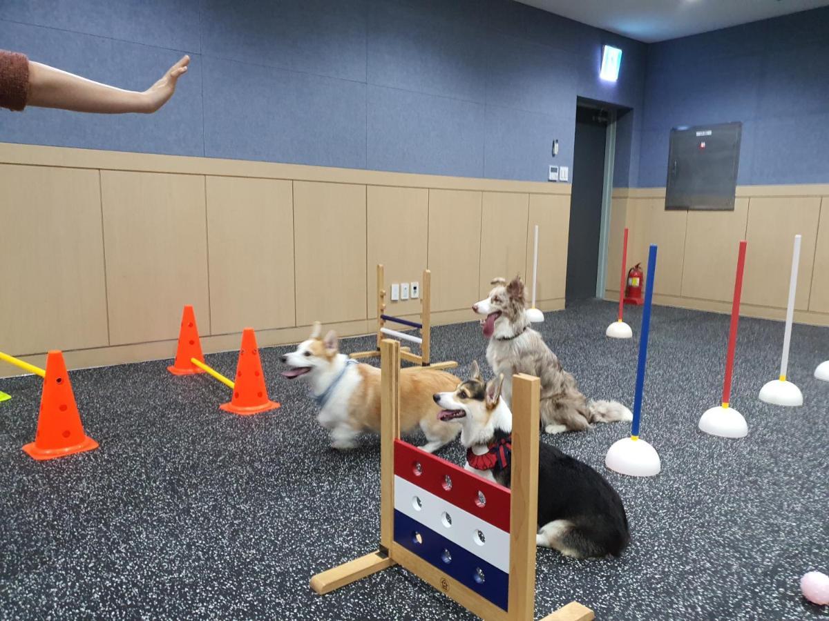 Hi Jeju Hotel Екстериор снимка