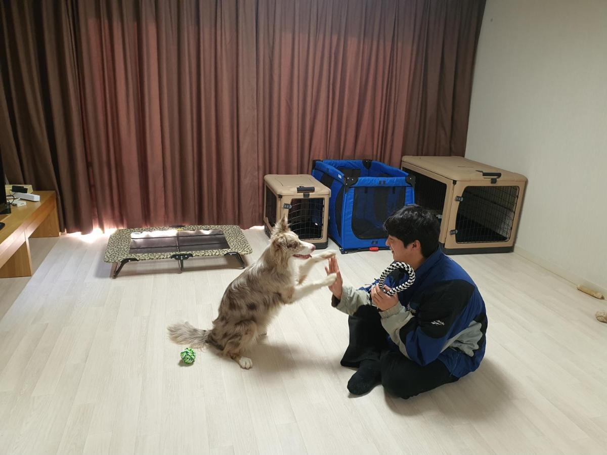 Hi Jeju Hotel Екстериор снимка