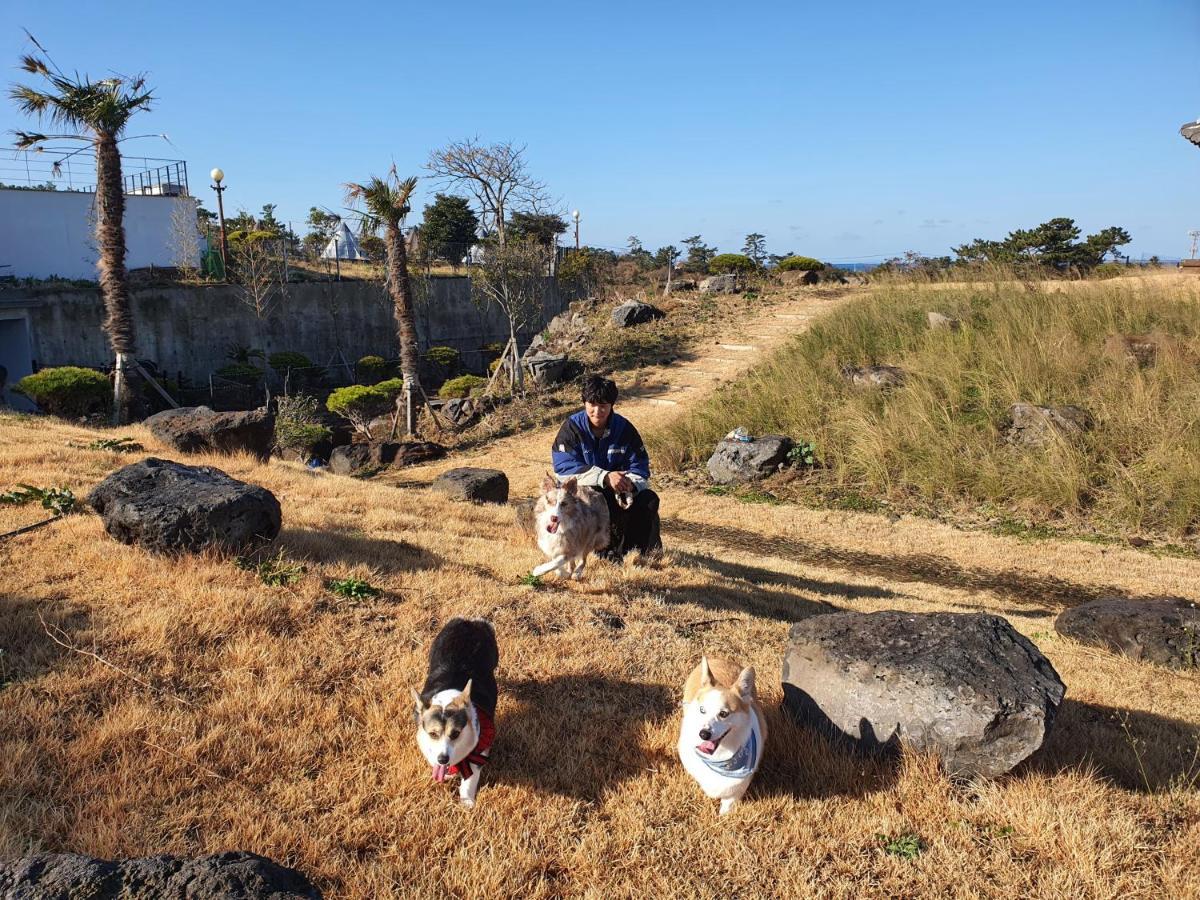 Hi Jeju Hotel Екстериор снимка