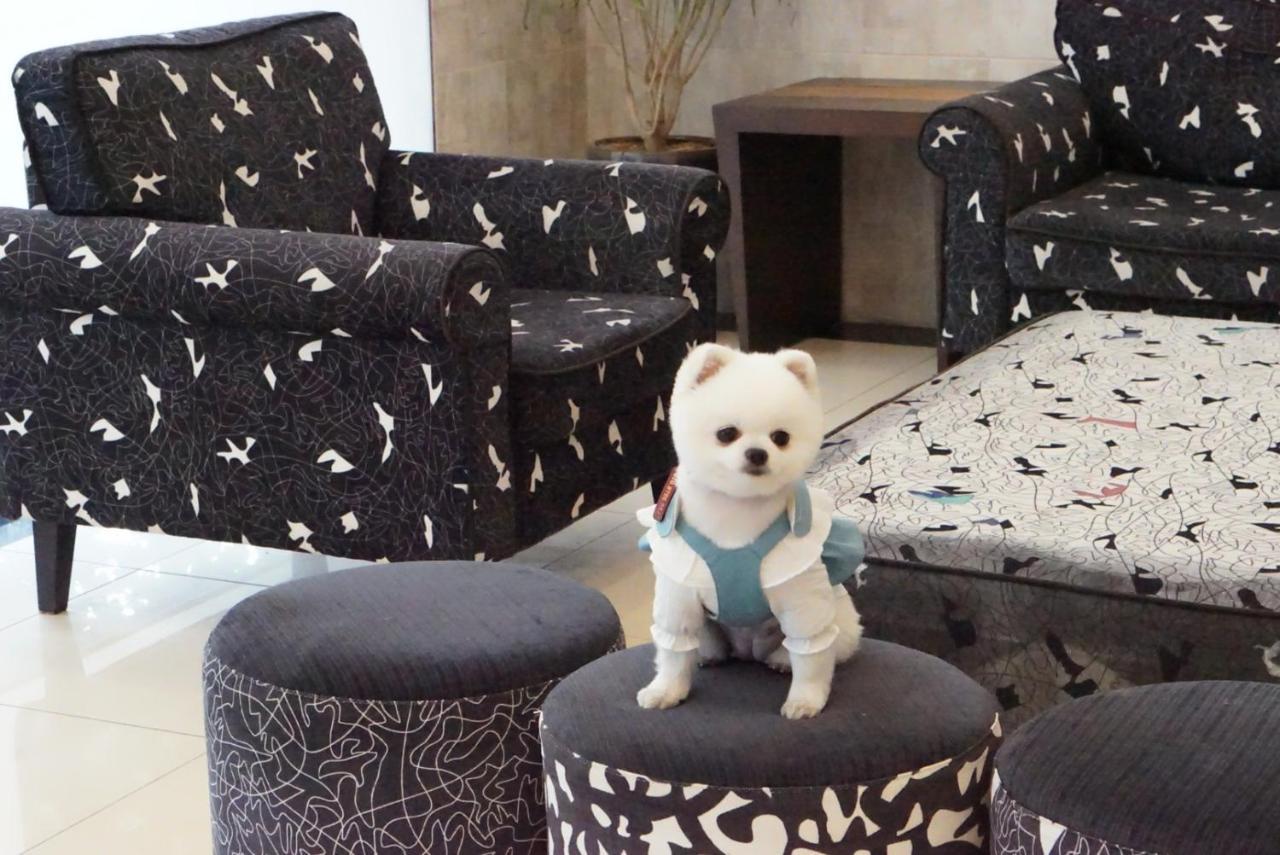 Hi Jeju Hotel Екстериор снимка